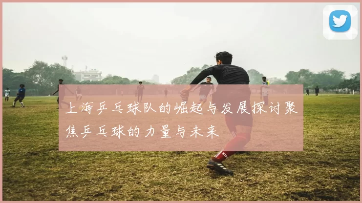 上海乒乓球队的崛起与发展探讨聚焦乒乓球的力量与未来