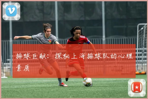 排球巨献：探秘上海排球队的心理素质